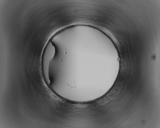 X0000098080996200804251509