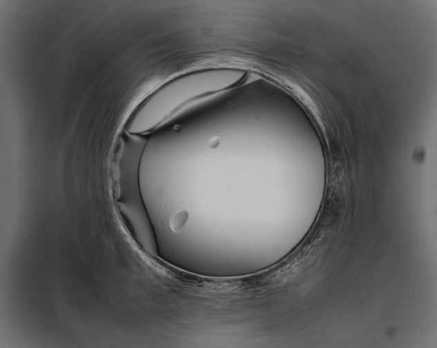 X0000098080997200804251509