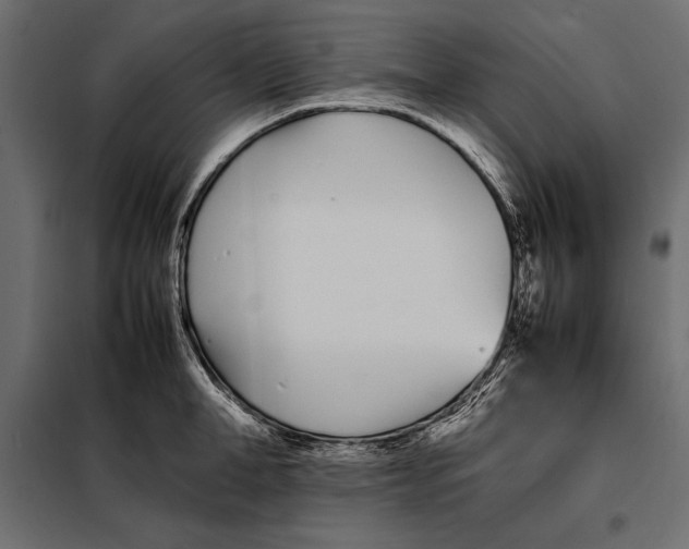 X0000098080998200804251509