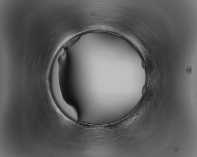 X0000098080999200804251509