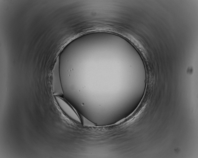 X0000098081001200804251509