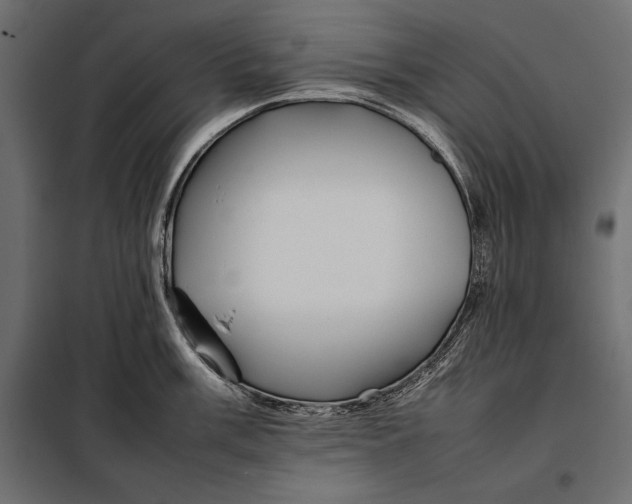 X0000098081003200804251509