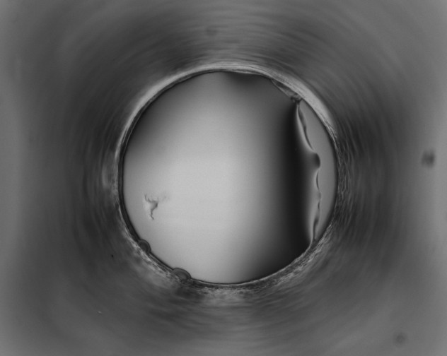 X0000098081004200804251509