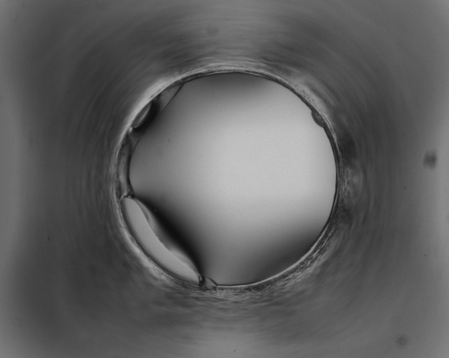 X0000098081005200804251509