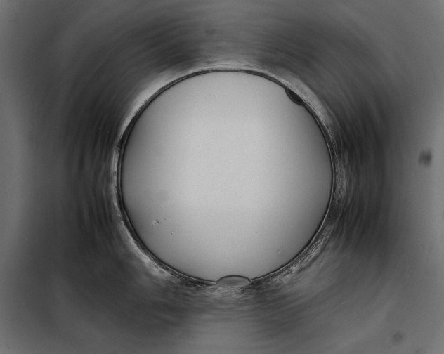 X0000098081006200804251509