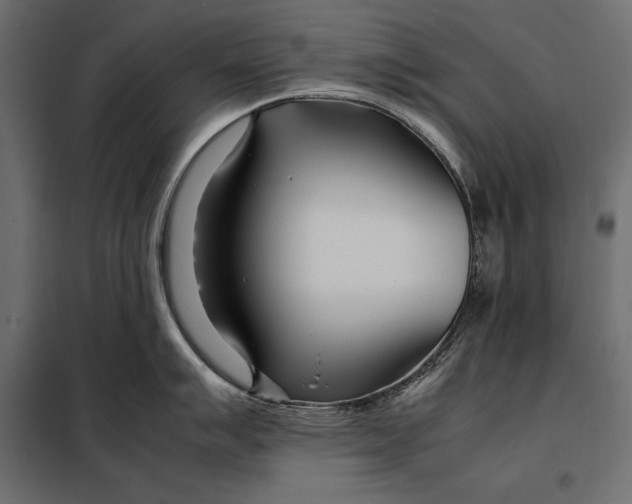 X0000098081007200804251509