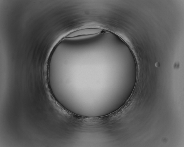 X0000098081008200804251509