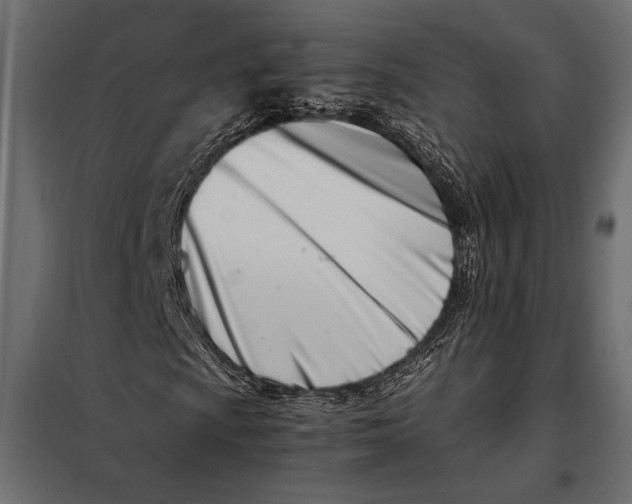 X0000098081009200804251508