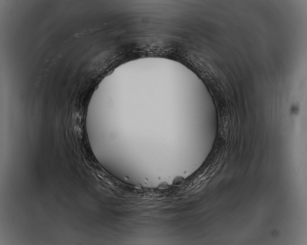 X0000098081010200804251508