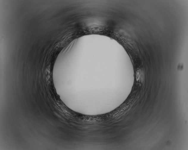 X0000098081011200804251508