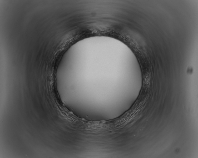 X0000098081012200804251508