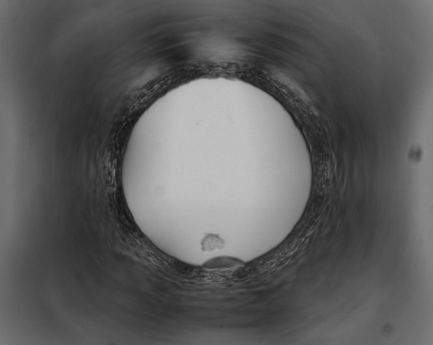 X0000098081013200804251508