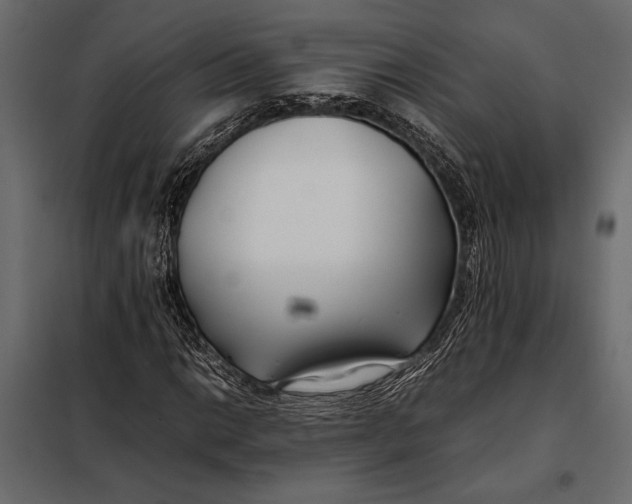 X0000098081014200804251508