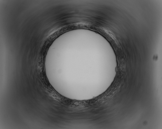 X0000098081015200804251508