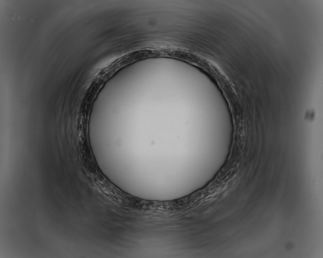 X0000098081016200804251508