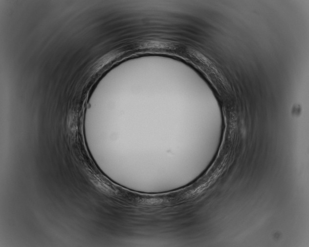 X0000098081017200804251508