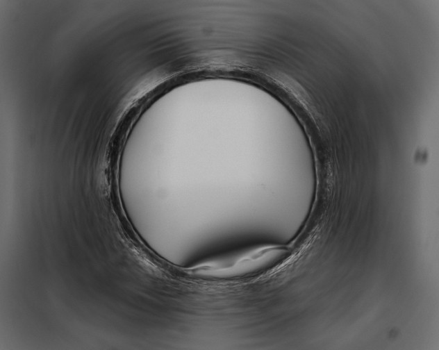 X0000098081018200804251508