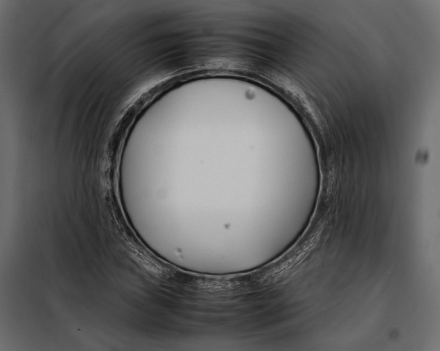 X0000098081019200804251508