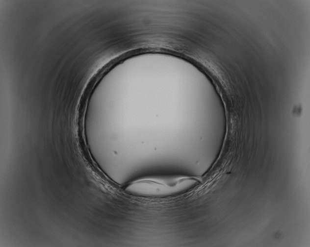 X0000098081020200804251508