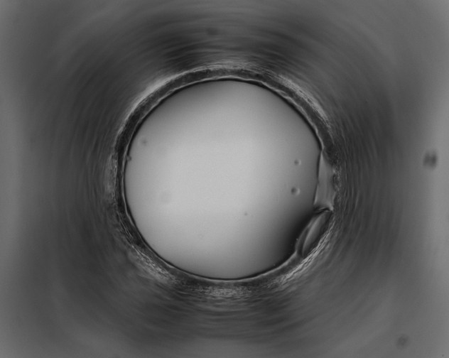 X0000098081021200804251508