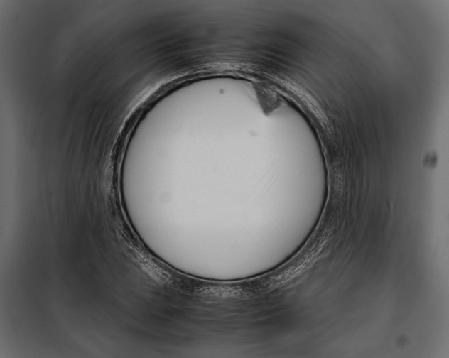 X0000098081023200804251508