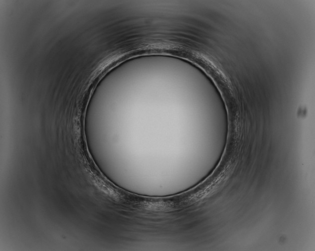 X0000098081025200804251508