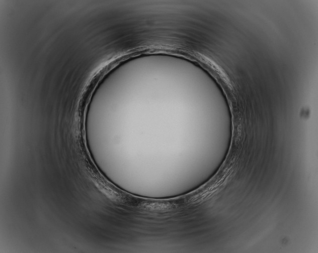 X0000098081027200804251508