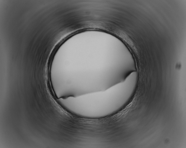 X0000098081028200804251508