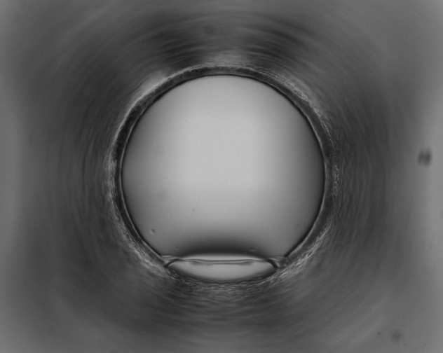 X0000098081029200804251508