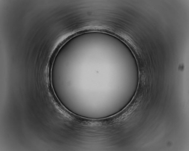 X0000098081030200804251508