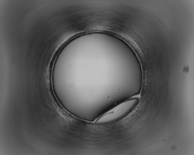 X0000098081031200804251508