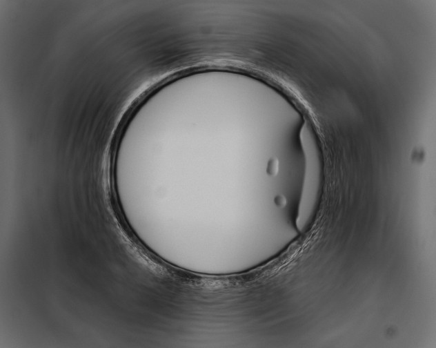 X0000098081032200804251508