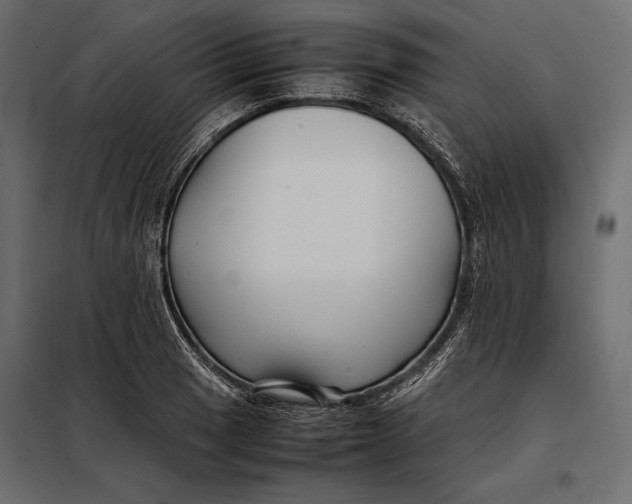 X0000098081033200804251508