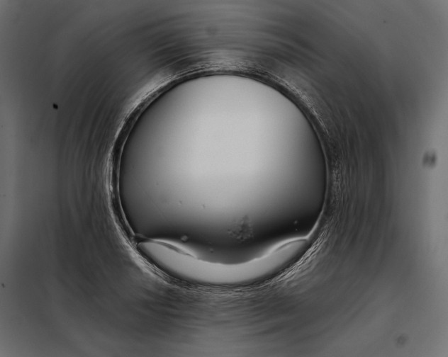 X0000098081034200804251508