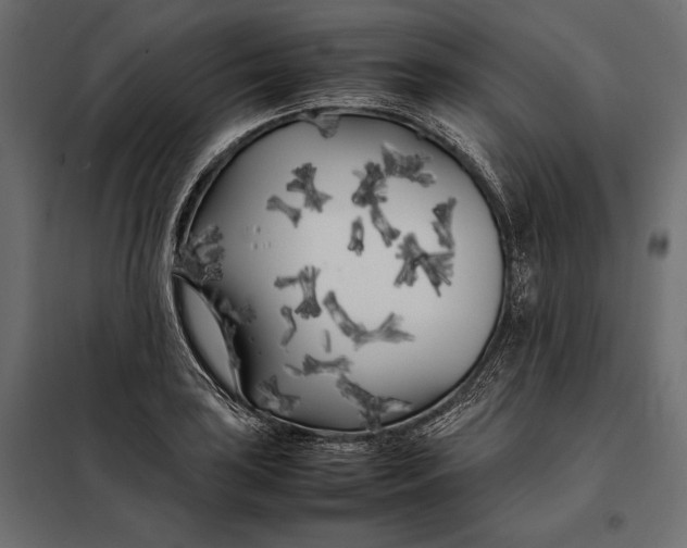 X0000098081035200804251508