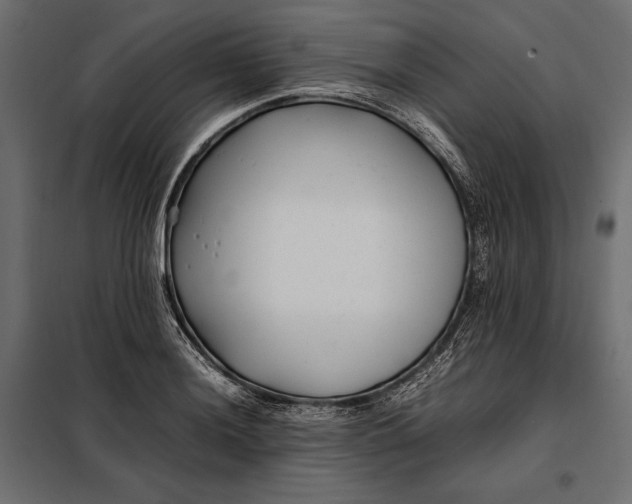 X0000098081036200804251508