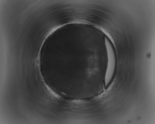 X0000098081037200804251508