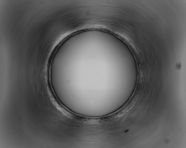 X0000098081038200804251508