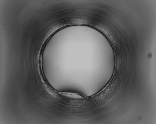 X0000098081039200804251509