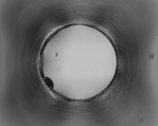 X0000098081040200804251509