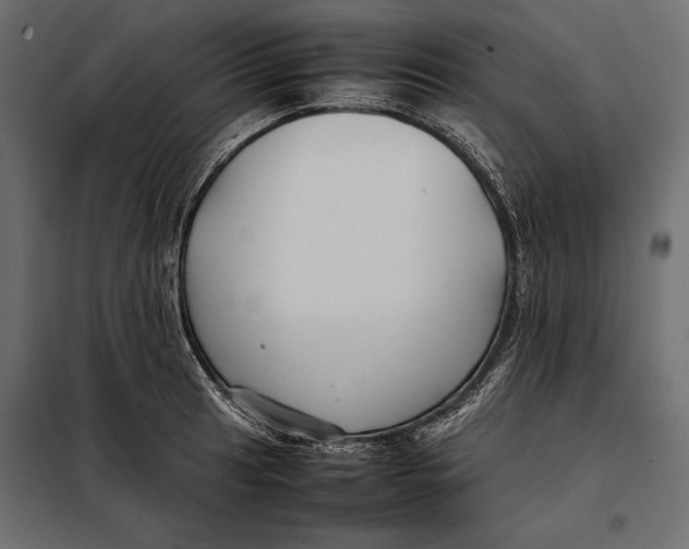 X0000098081041200804251509