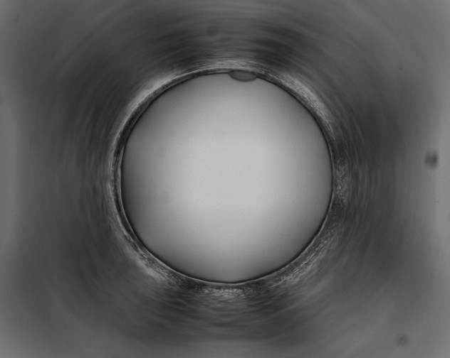 X0000098081043200804251509