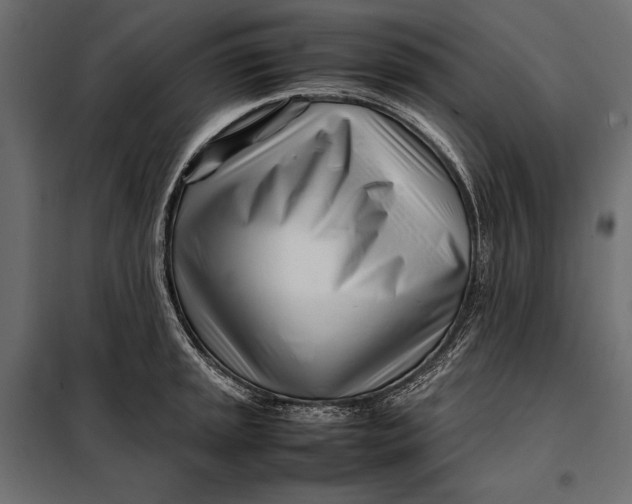 X0000098081045200804251509