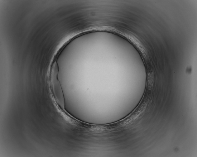 X0000098081046200804251509