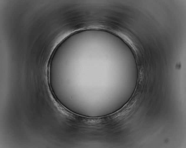 X0000098081047200804251509