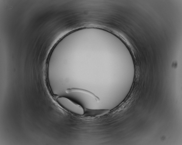 X0000098081048200804251509