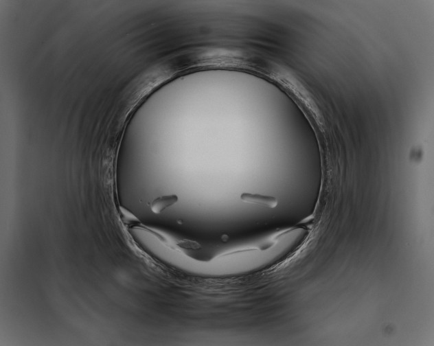 X0000098081049200804251509