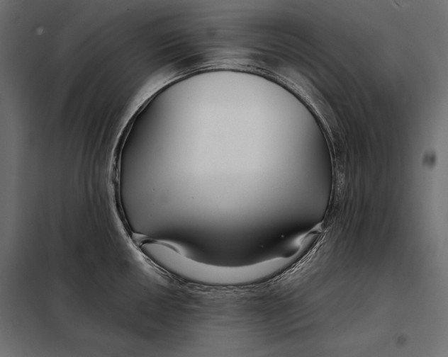 X0000098081050200804251509