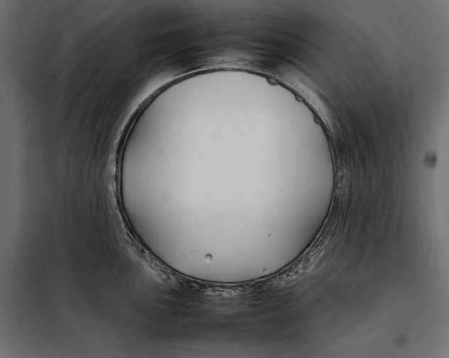 X0000098081051200804251509