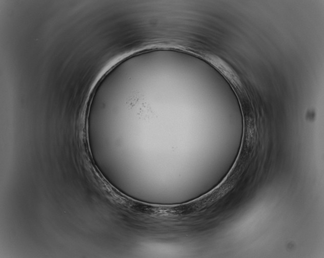 X0000098081052200804251509